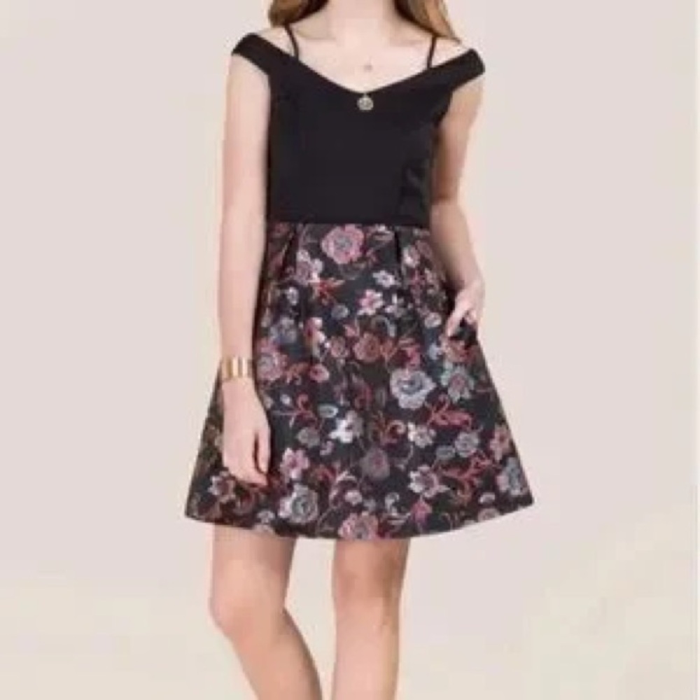 Francesca’s Dress